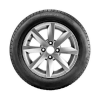 Pneu Pirelli Formula Evo 205/55R16 91H