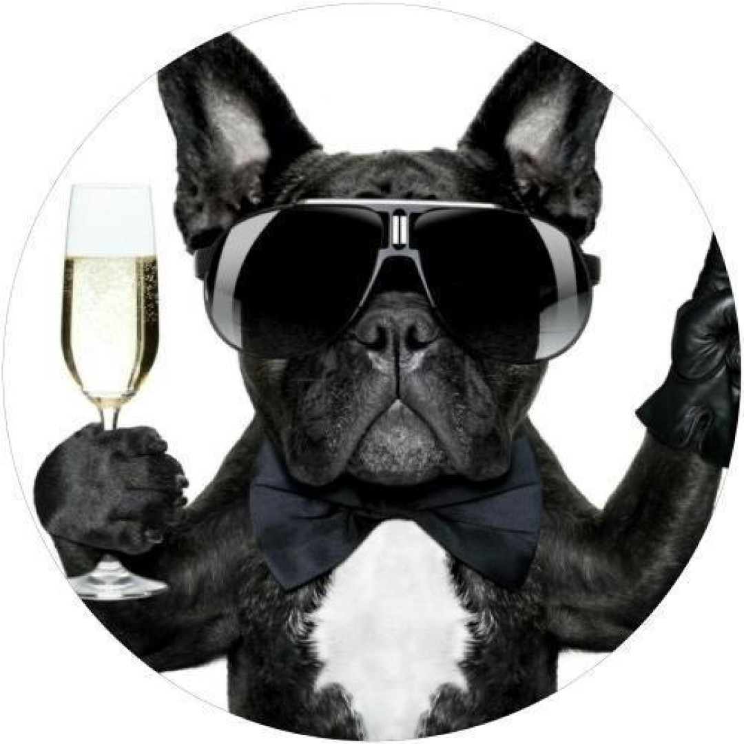 Capa De Estepe Ecosport Aircross Dog Oculos