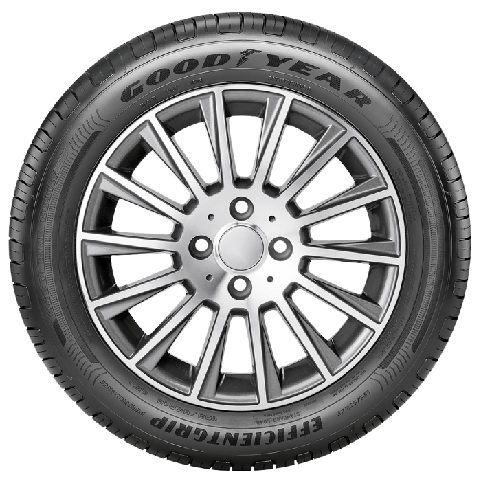 Pneu Aro 16 Goodyear Efficientgrip Perf Xl Ds 195/55R16 91V